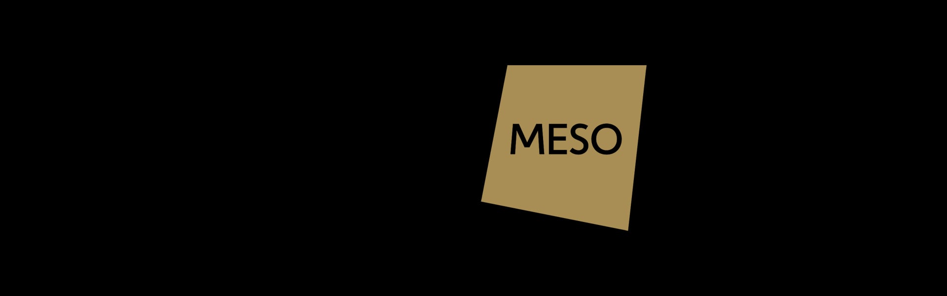 Meso Logo